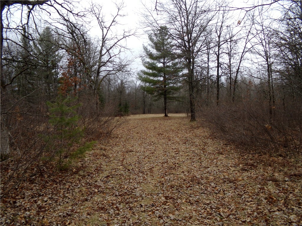 Property Photo: Tbd E Baldwin Ave WI 54873