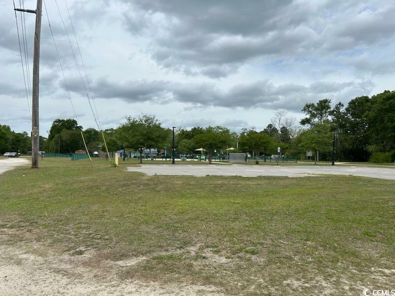 Property Photo: 110 Washington St. SC 29440
