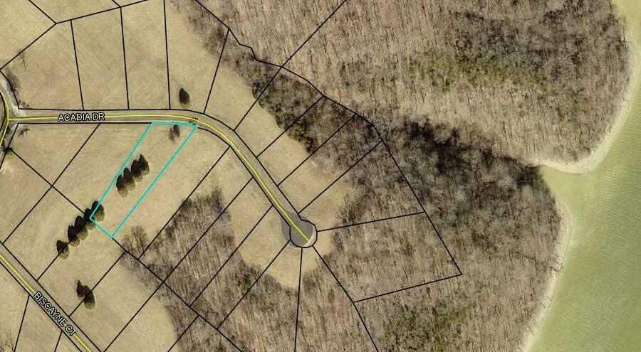 Property Photo: Lot 20 Parks Ridge KY 42642