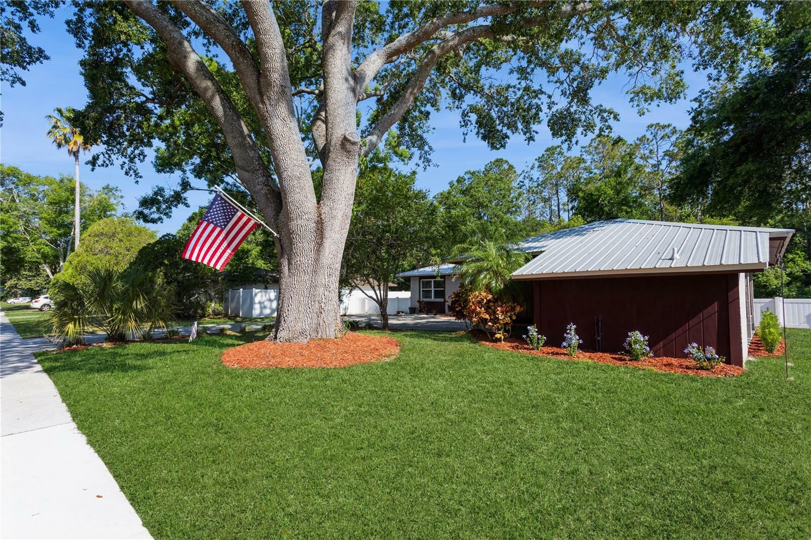 Property Photo: 1212 Wildrose Drive FL 33549