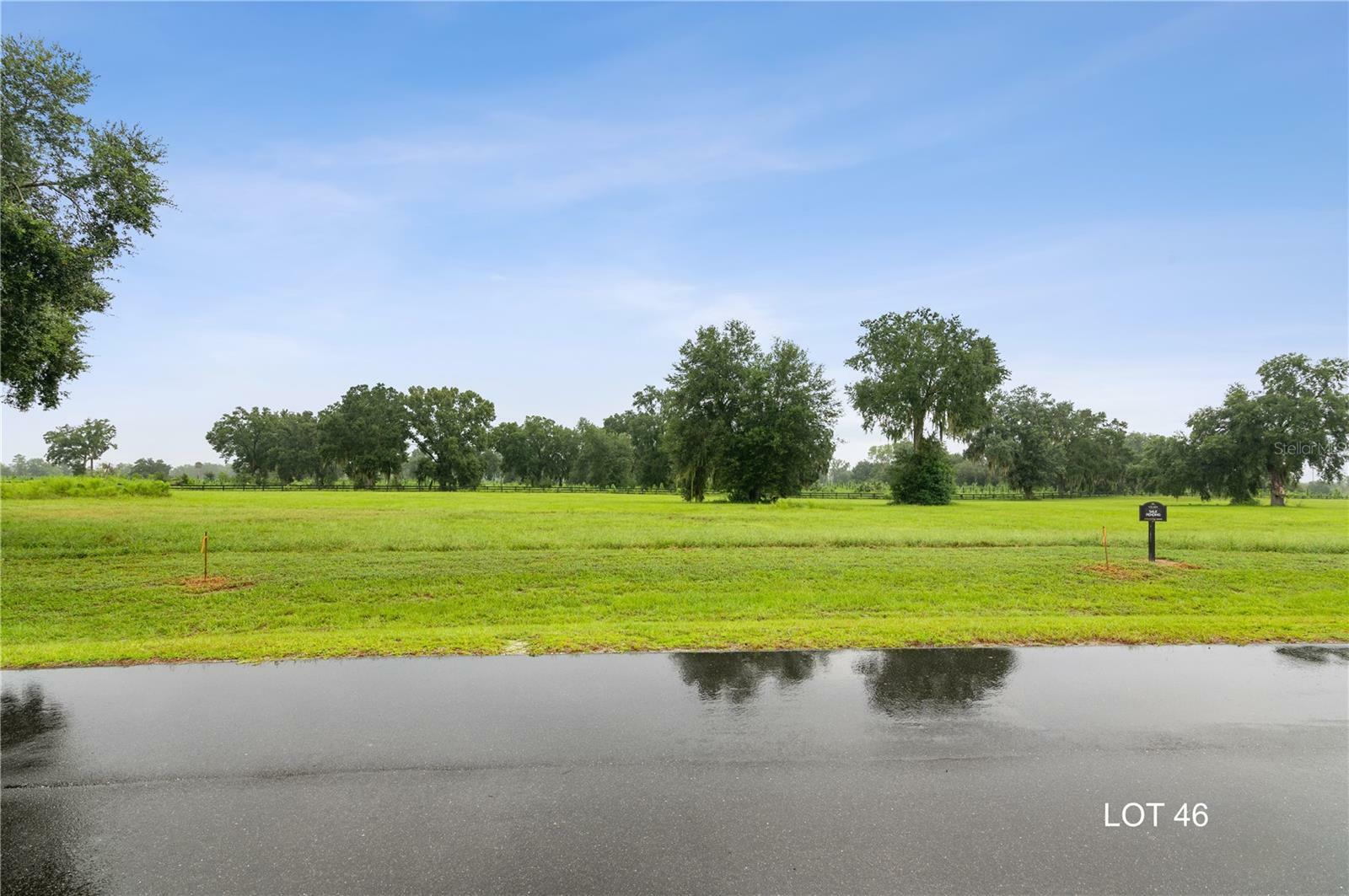 Property Photo: Lot 46 SW 125th Circle FL 32618