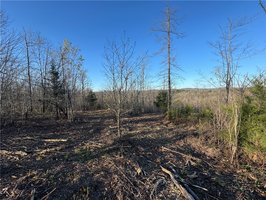 Tract 1 Nc 8374 Road  Jasper AR 72641 photo