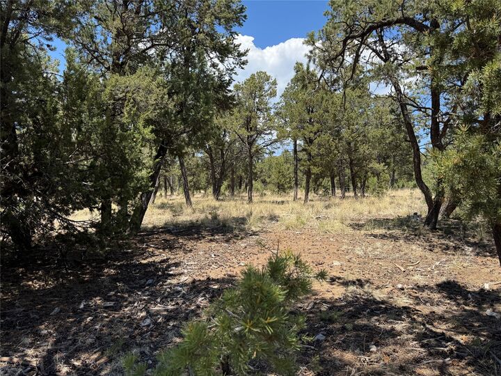 Property Photo:  43 Silver Feather Trail  NM 87552 