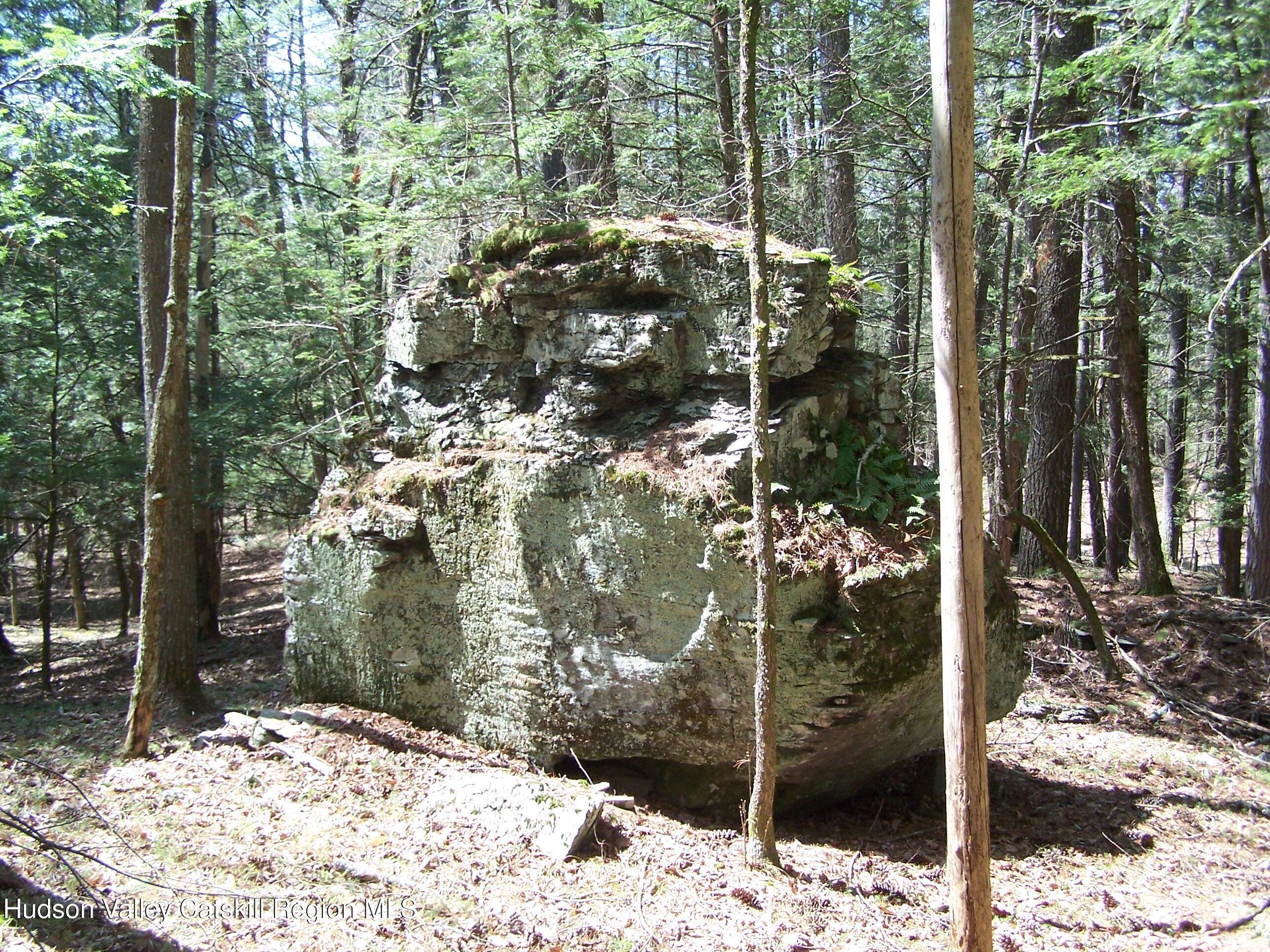 Property Photo: Tbd Buck NY 12484