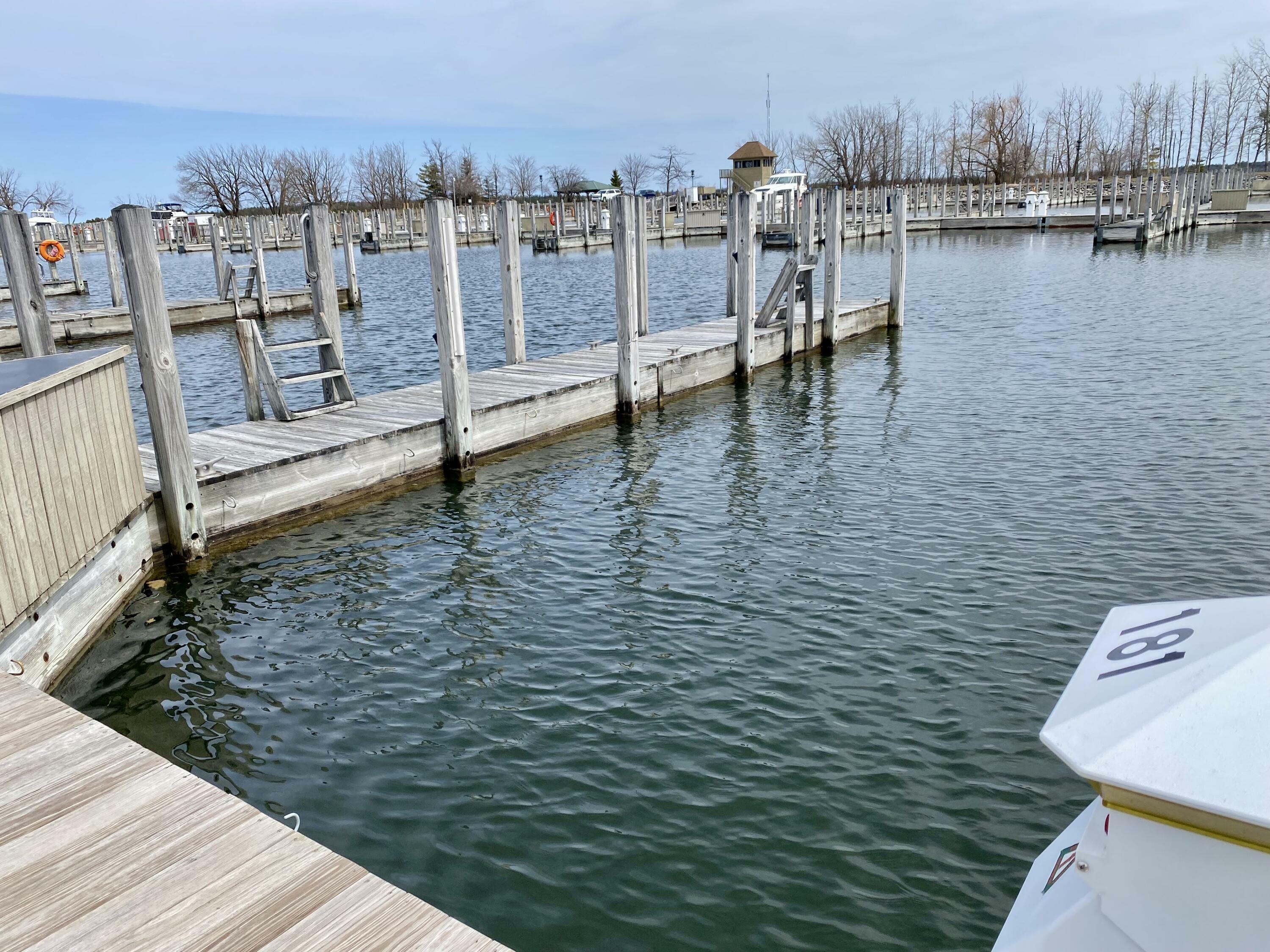 Property Photo:  181 Boat Club Drive  MI 49721 