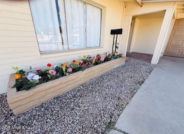 Property Photo: 4517 S Grandview Avenue AZ 85282