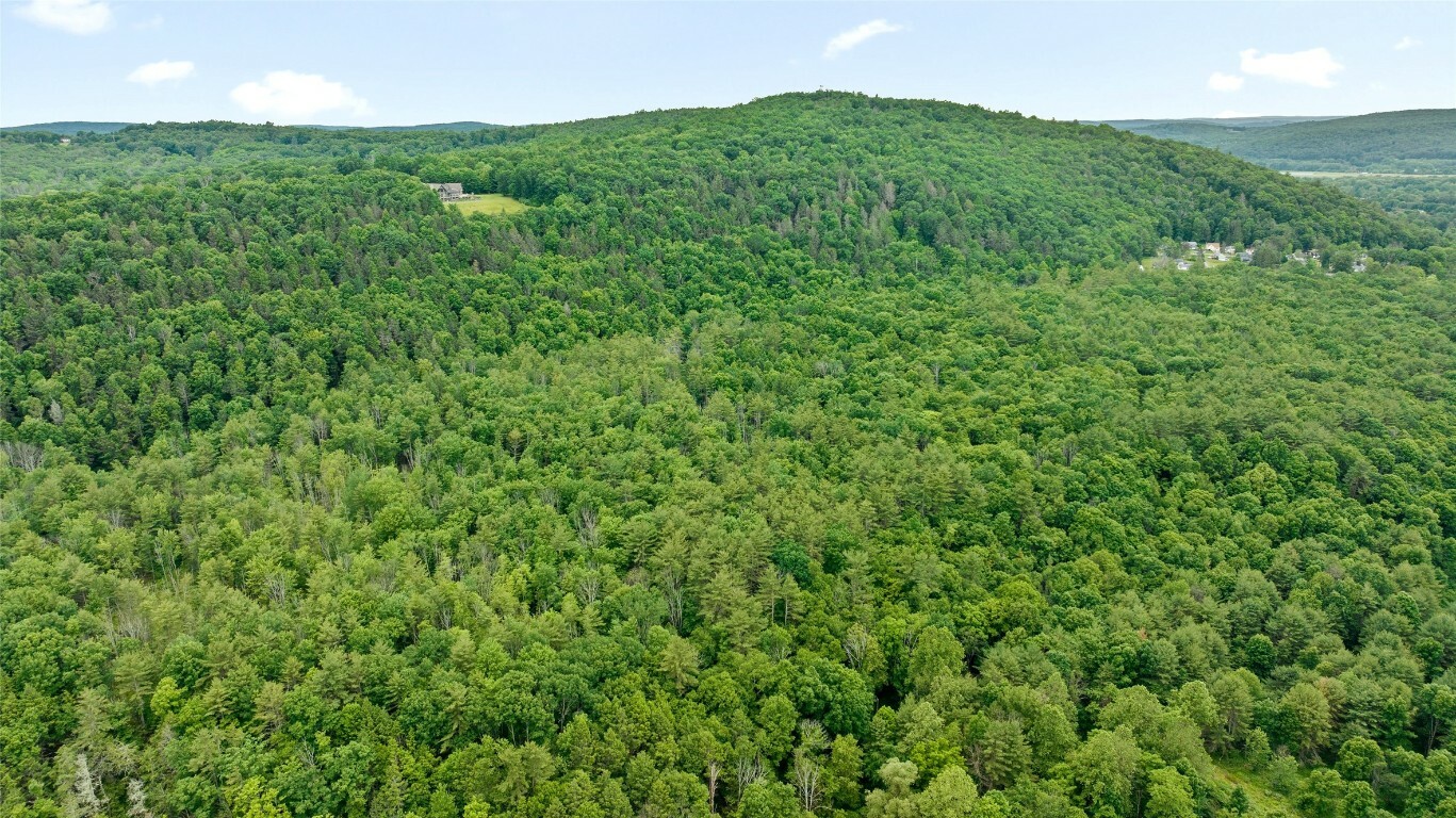 Property Photo: 342 Echo Road NY 13850