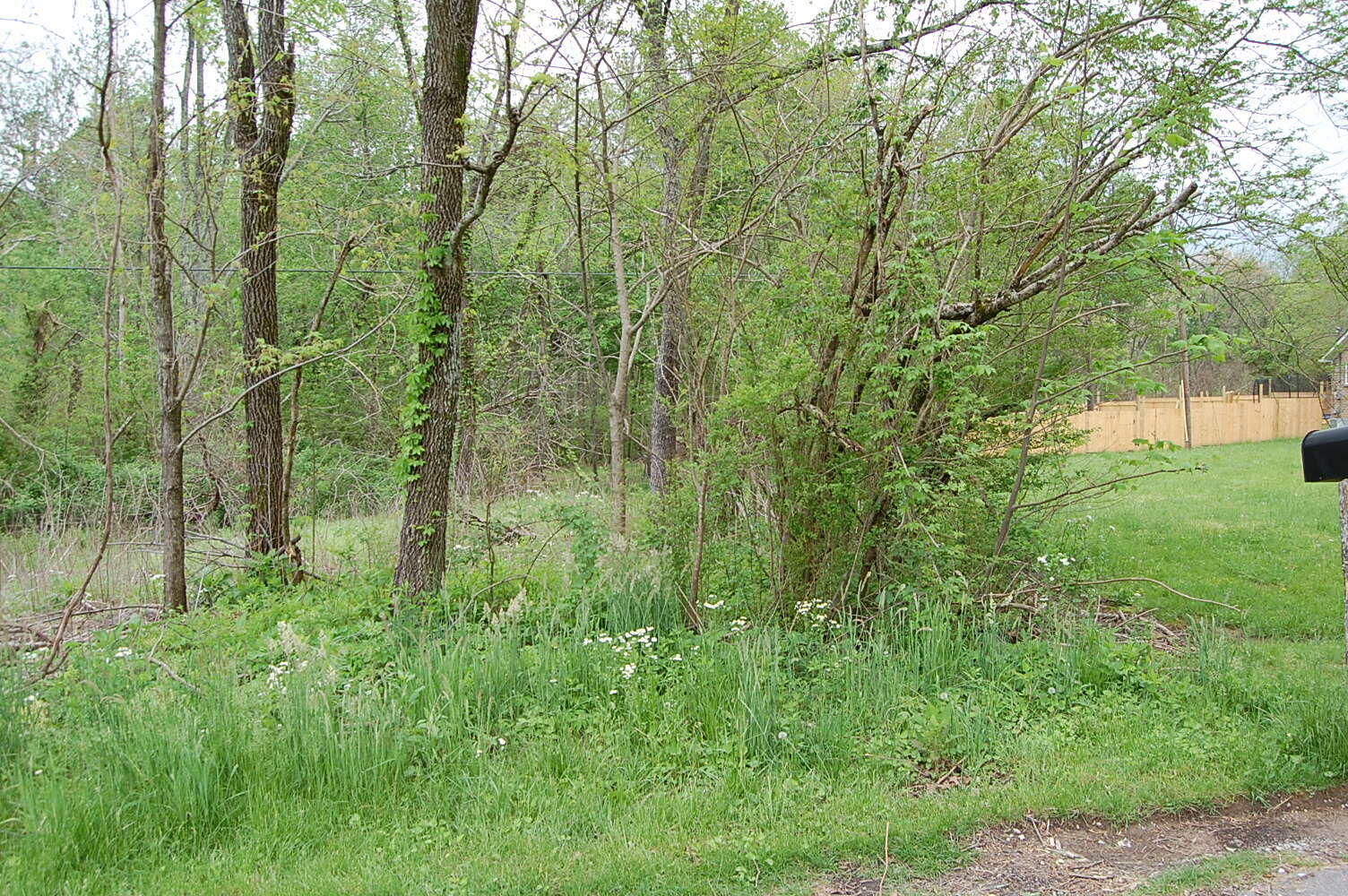 Property Photo: 67 51st Avenue TN 37339