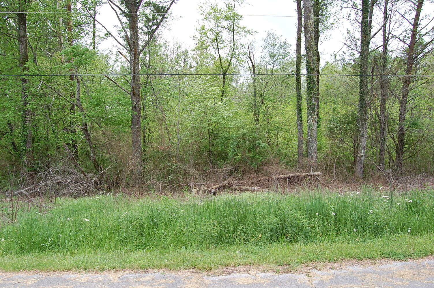 Property Photo: 66 51st Avenue TN 37339