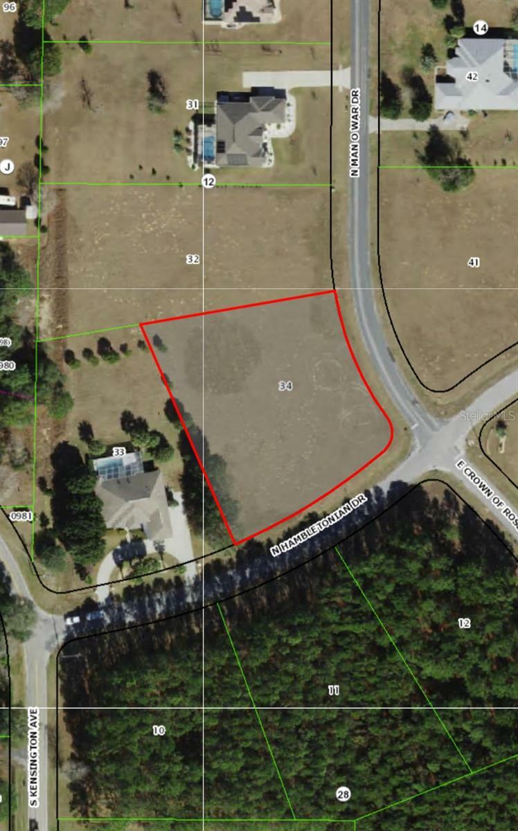 Property Photo: 62 N Hambletonian Drive FL 34453