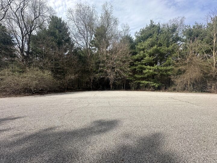 Property Photo: V/L-2 White Pine Drive MI 49420