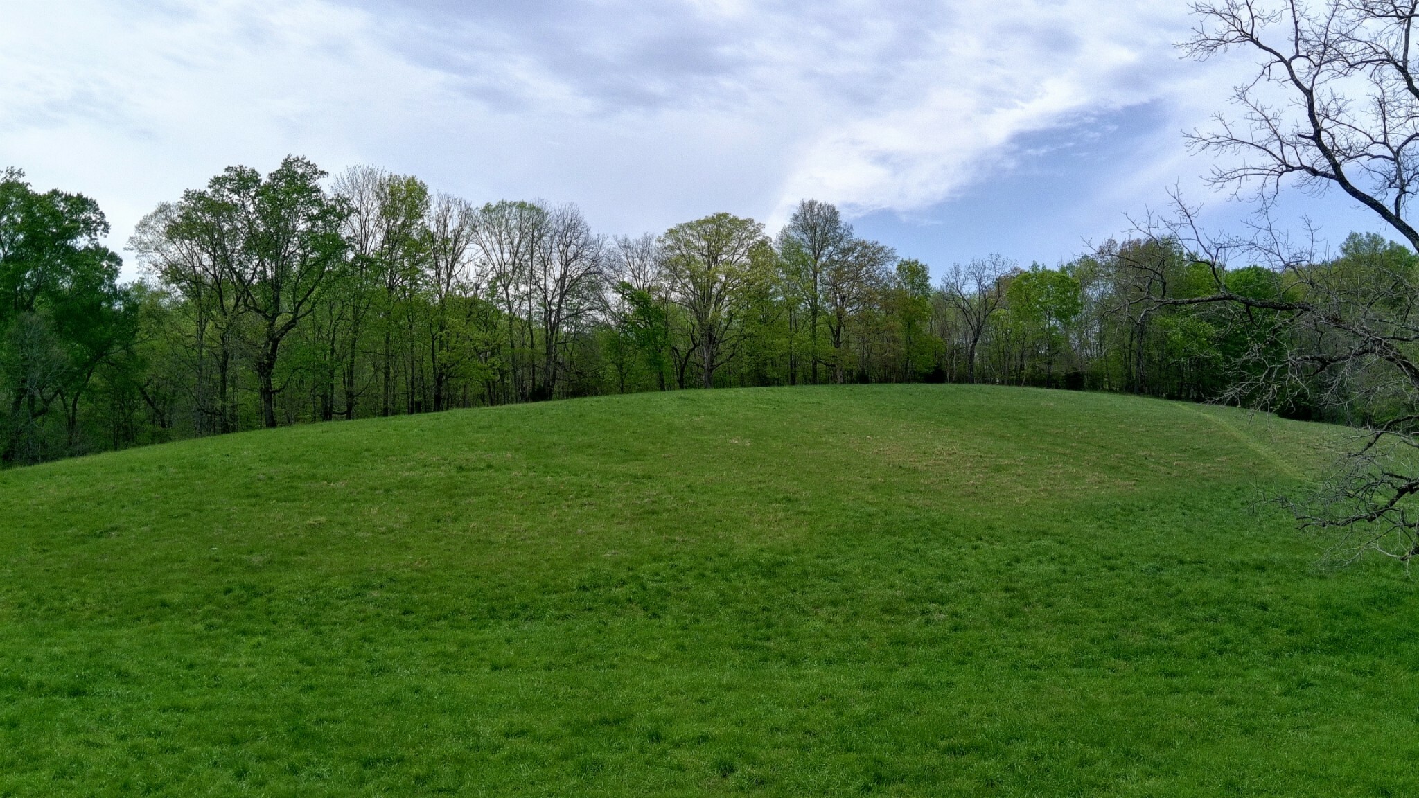 Property Photo: 0 Edmondson Ferry Road TN 37040