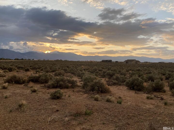 Property Photo:  360 Ludwig  NV 89430 