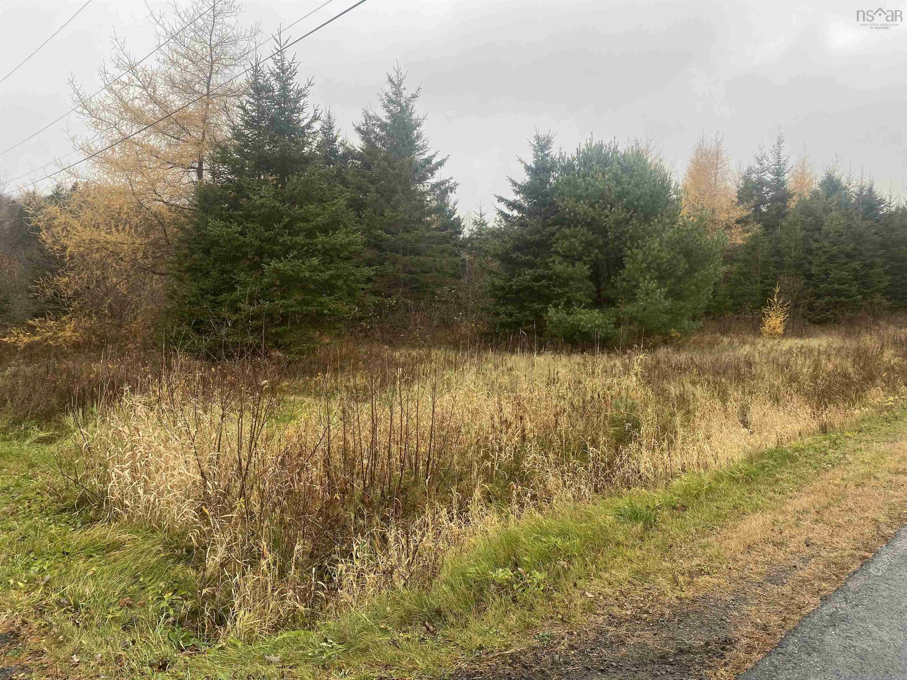 Property Photo:  Lot 9 New Cheverie Road  NS B0N 1E0 