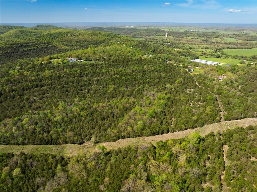 Property Photo: 401 Cr 246 Street AR 72632