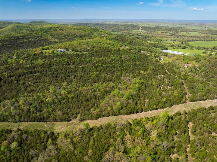 Property Photo: 401 Cr 246 Street AR 72616