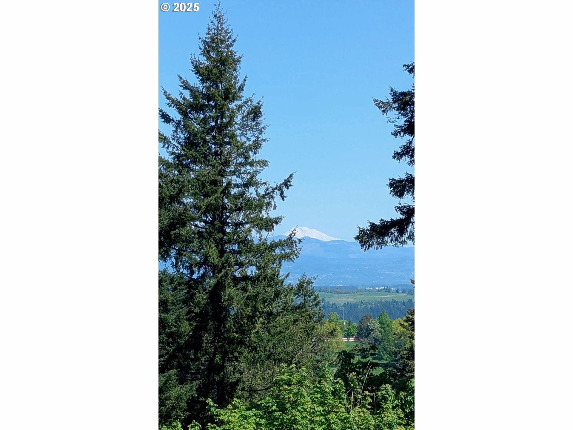 Property Photo: 10469 SE Quailridge Dr OR 97086