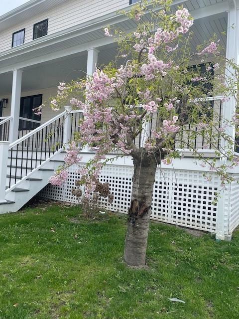 Property Photo: 228 State Street 3 RI 02809