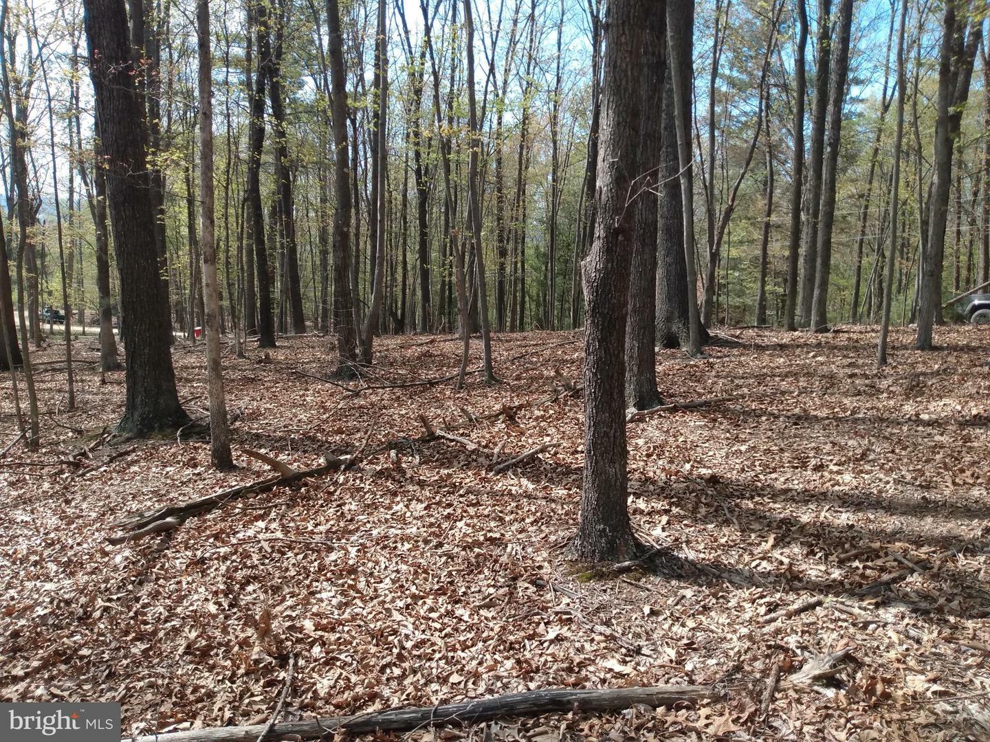 Lot 50 Birch Grove Lane  Berkeley Springs WV 25411 photo