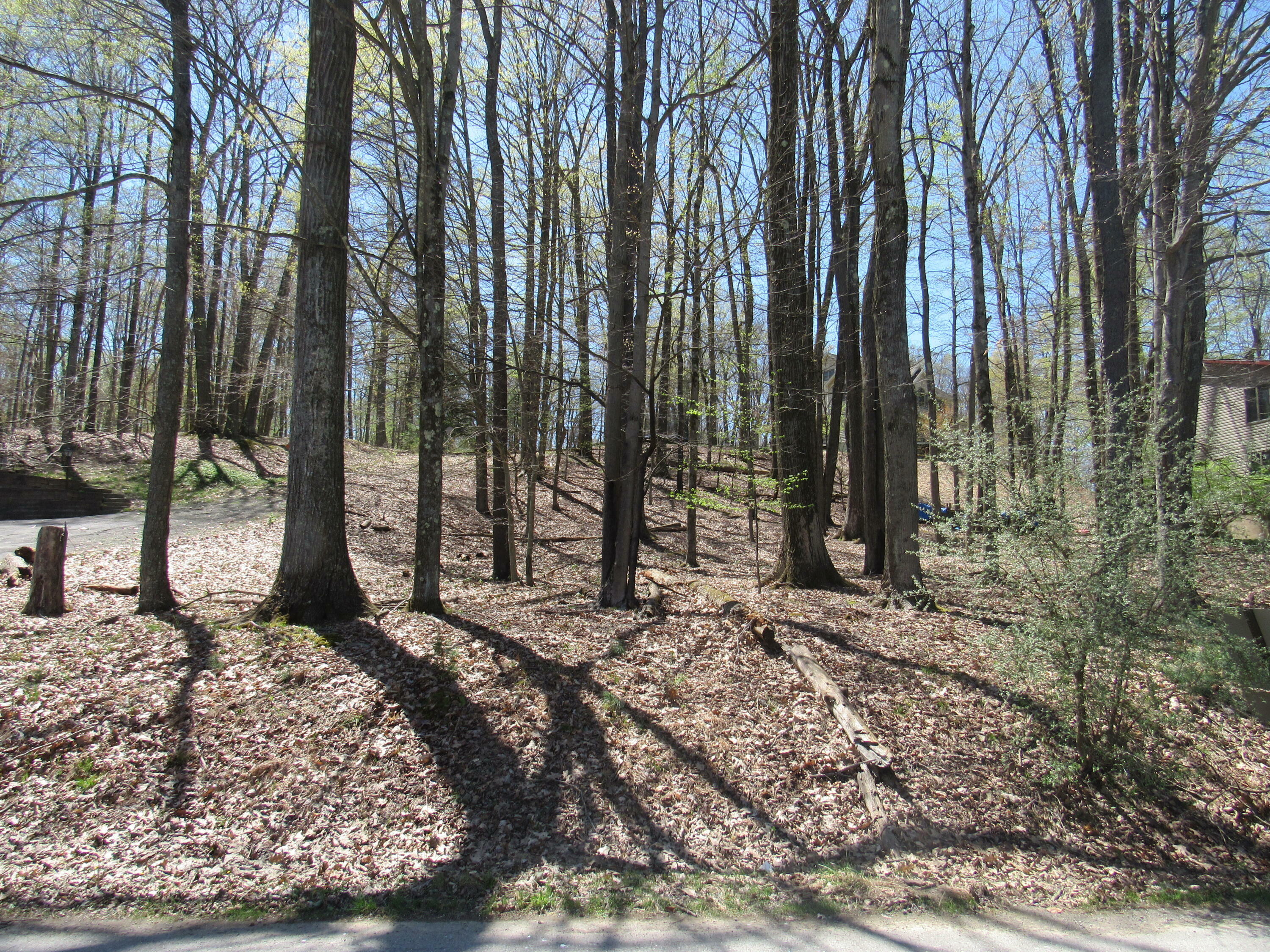 Property Photo: 5 Treasure Lake Rd PA 15801