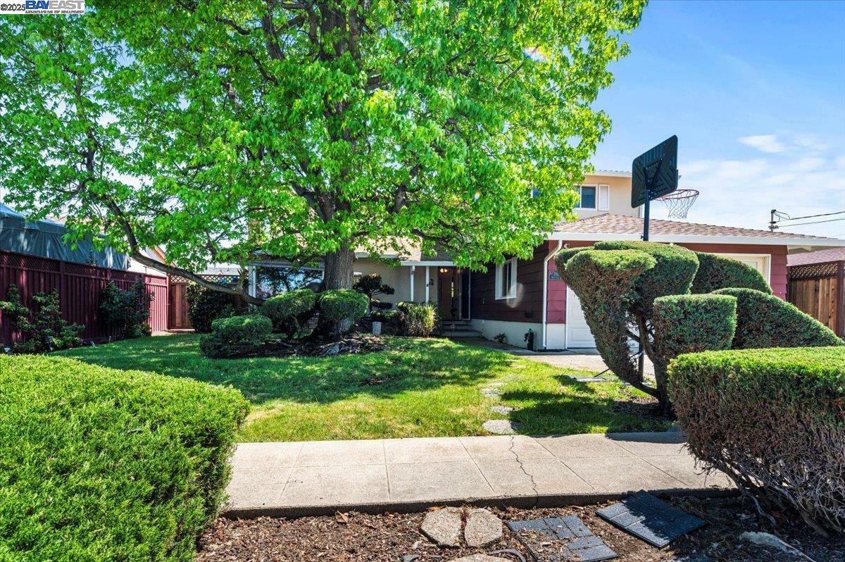 Property Photo: 26278 Danforth Ln CA 94545