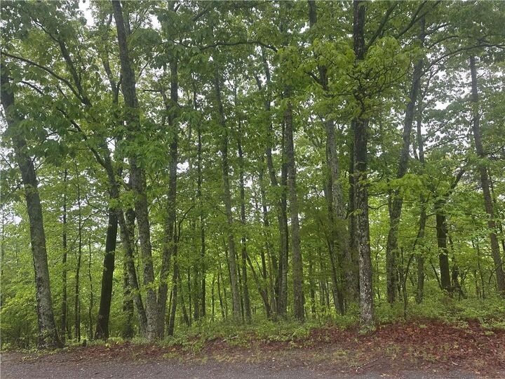 1417 Foxhound Trail NE  Ranger GA 30734 photo