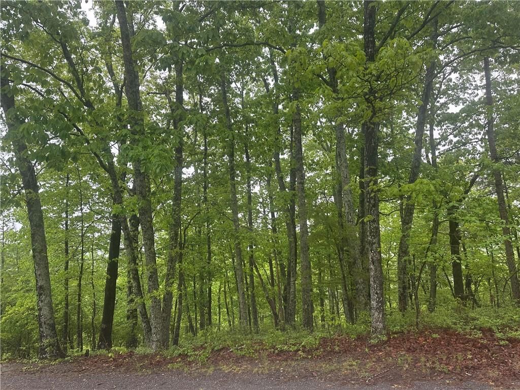 Property Photo: 1417 Foxhound Trail NE GA 30734