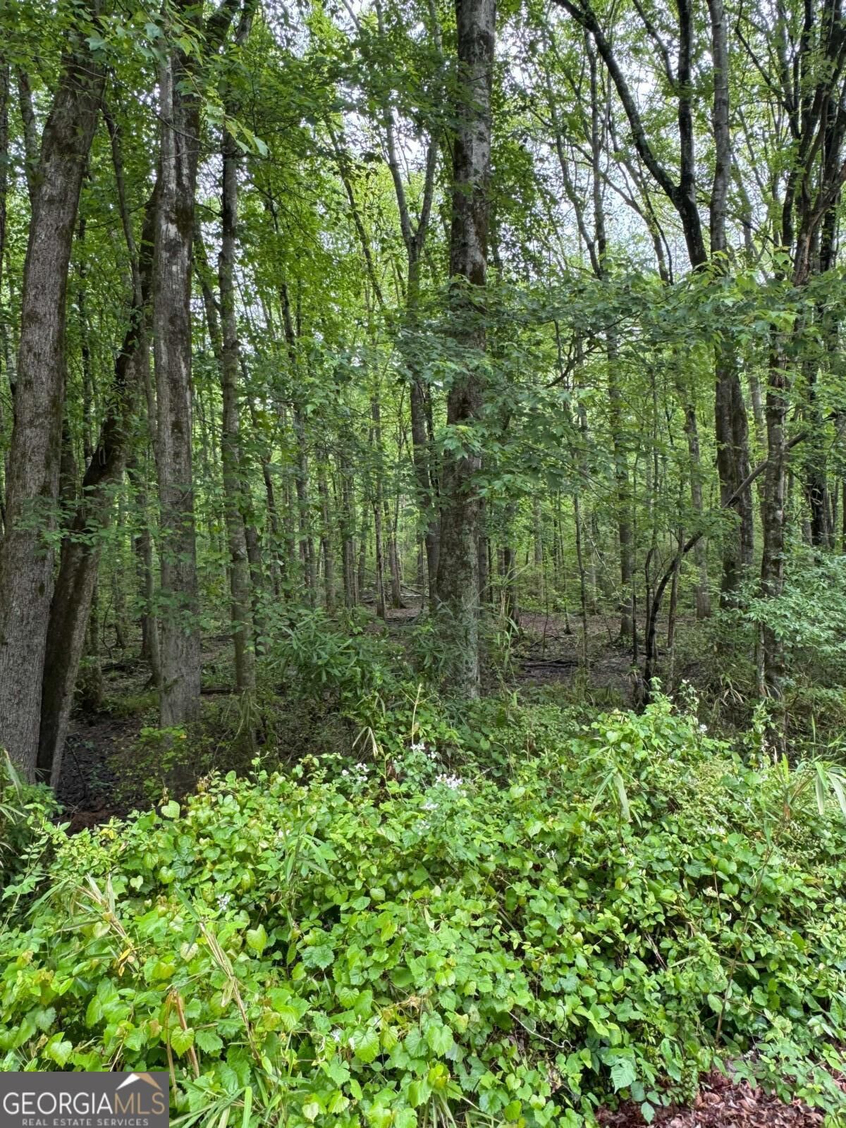 Property Photo: 0 Friendship Church Road SW GA 30064