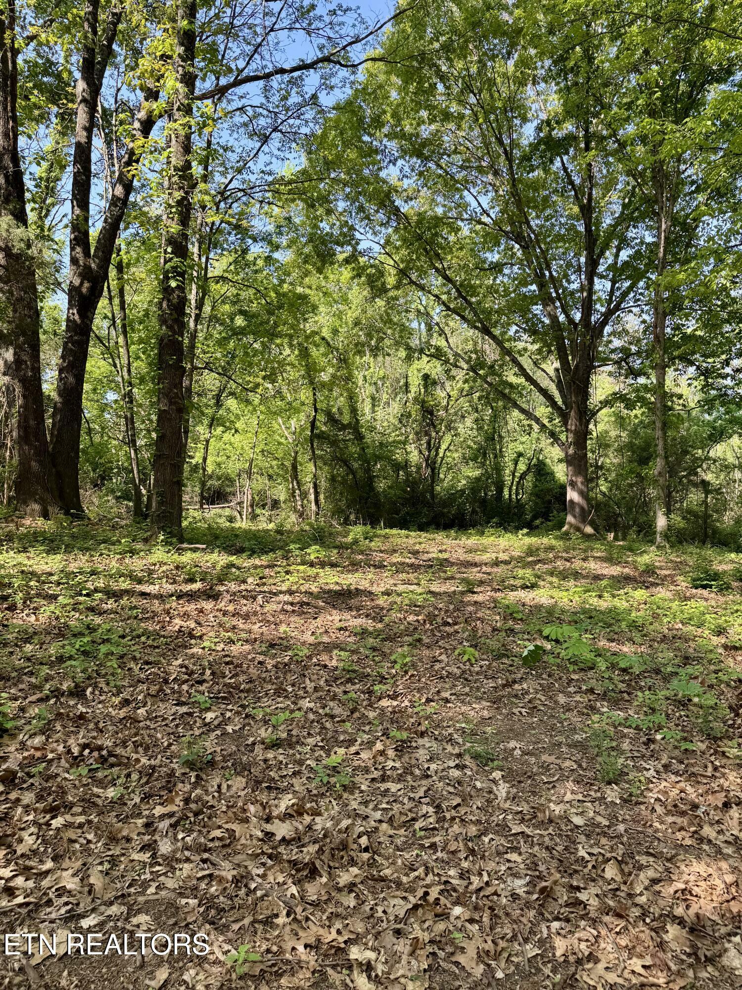 Property Photo: Carroll Rd TN 37813