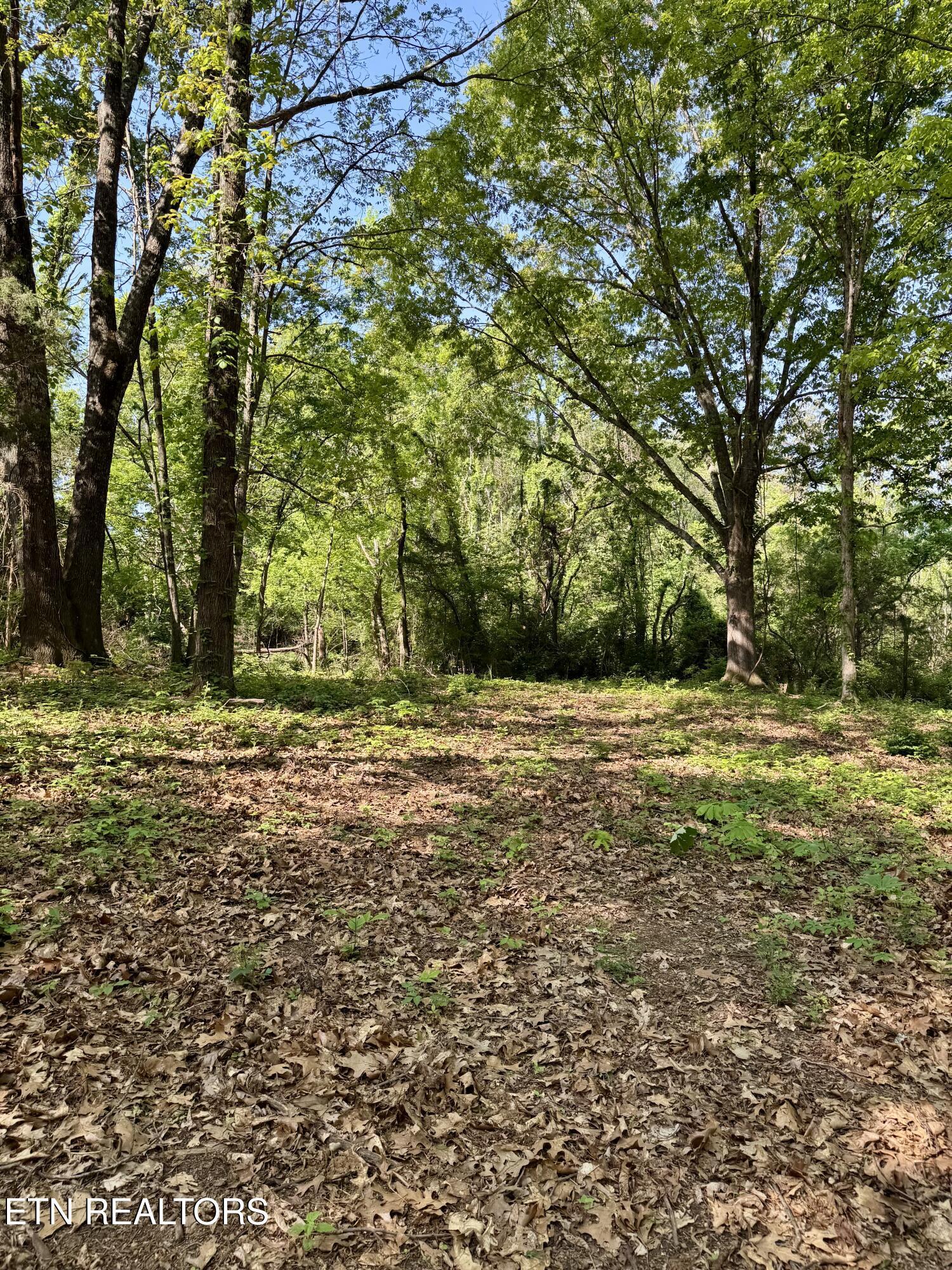 Property Photo: Carroll Rd TN 37813