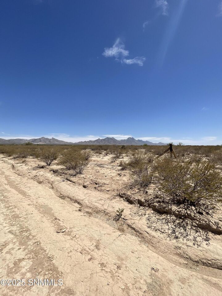 Property Photo:  9357 Rabbit Run Road  NM 88012 