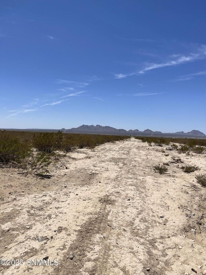 Property Photo:  9245 Rabbit Run Road  NM 88012 
