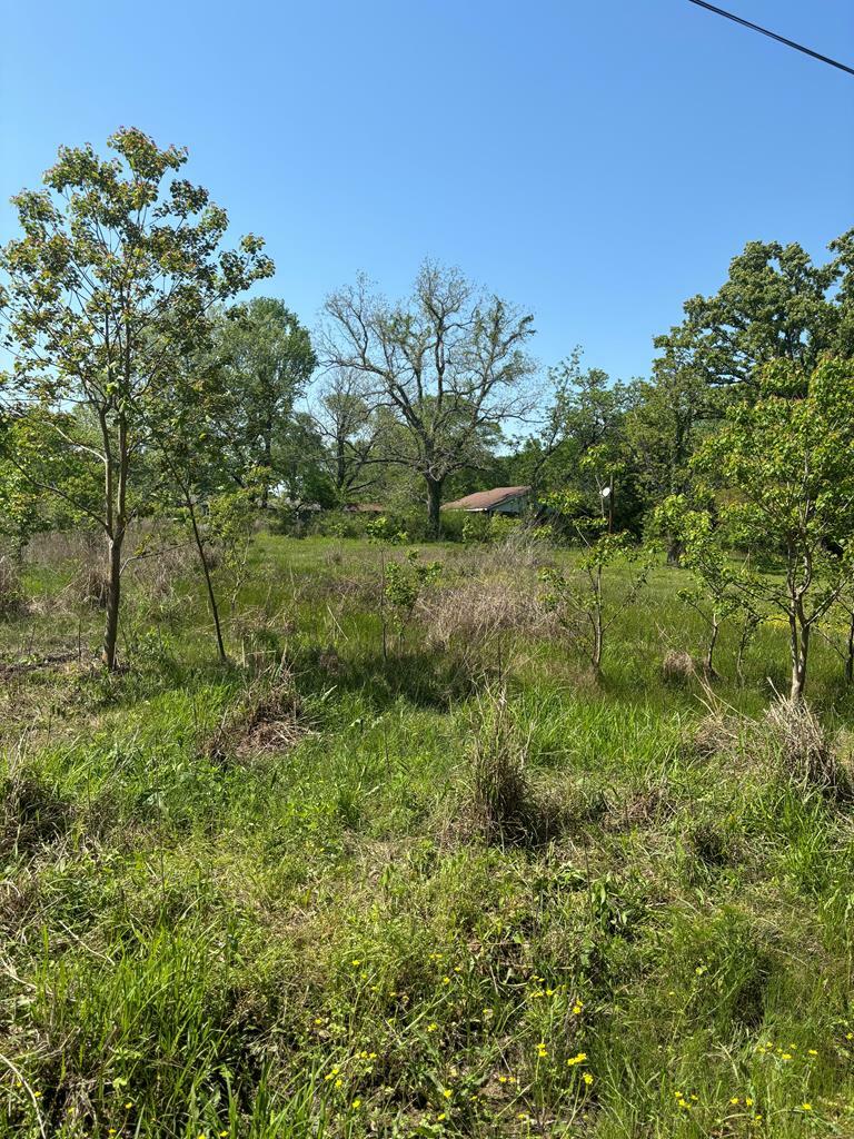 Property Photo:  R32699 Fears  TX 75945 
