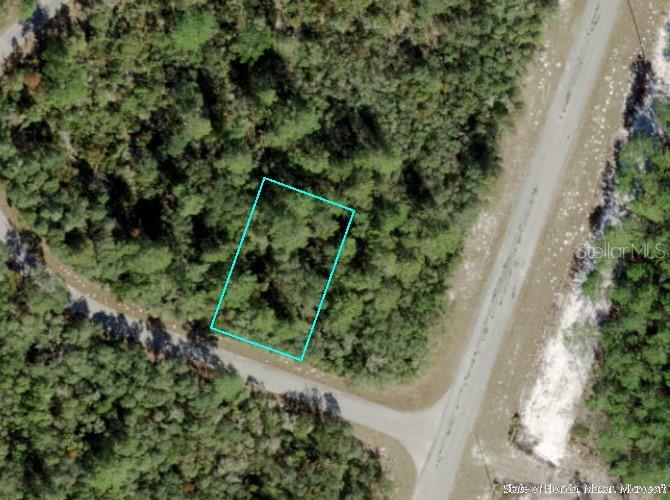 Property Photo:  Tbd Fisher Loop Run  FL 32179 
