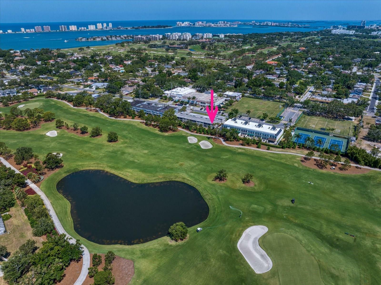 Property Photo: 919 Osceola Road 202 FL 33756