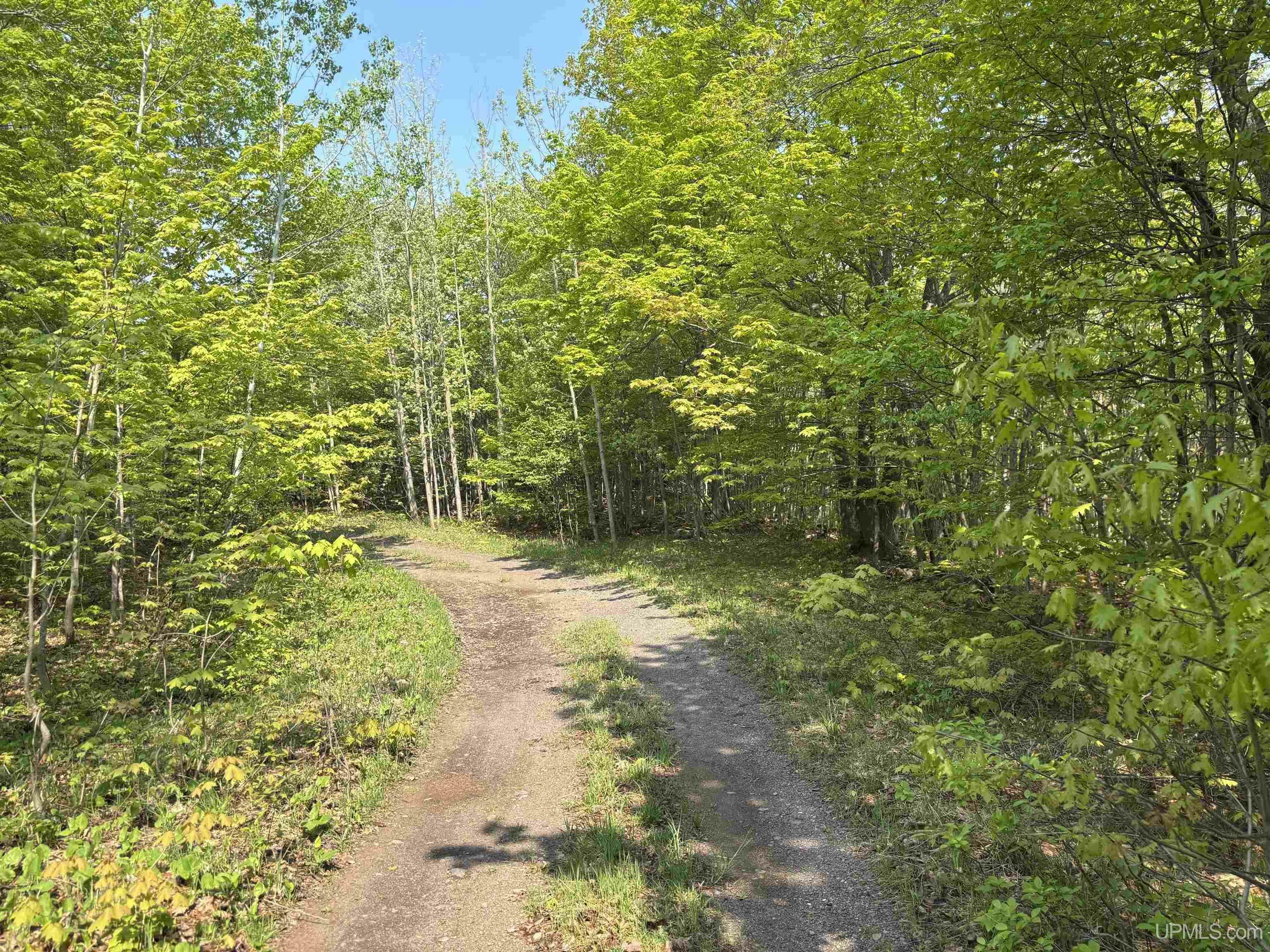 Property Photo: Tbd B Gorton Road MI 49930