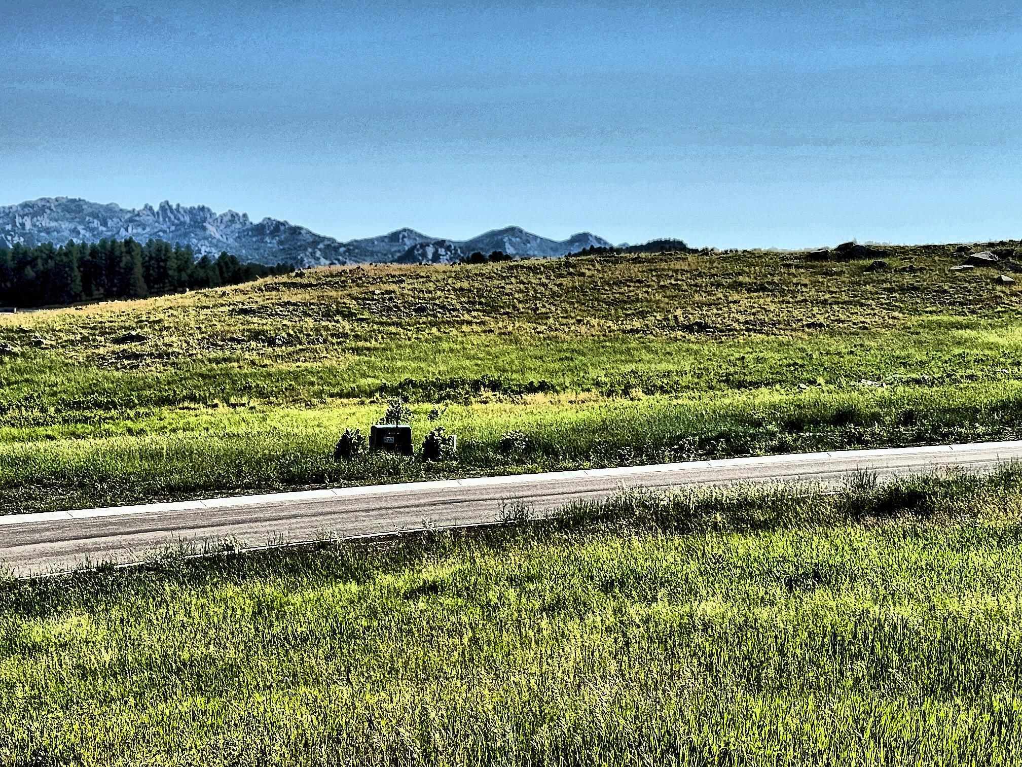 Property Photo: Lot 2, Block 2 Stone Hill SD 57730