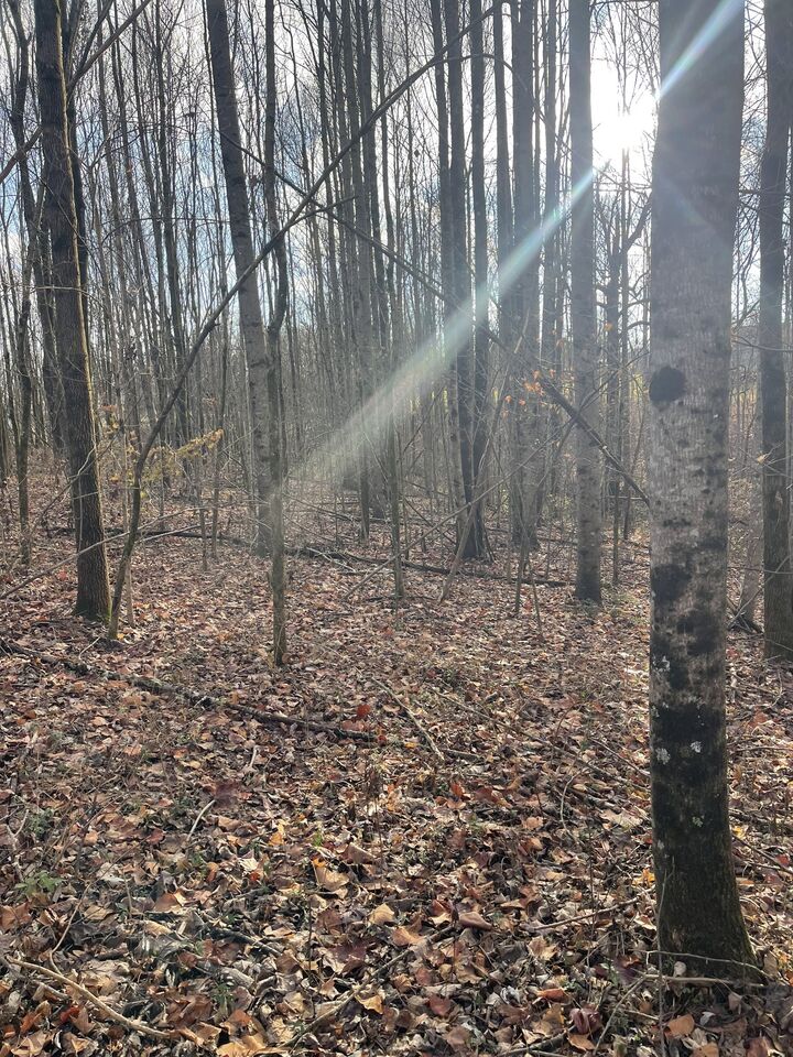 Property Photo:  10900 Hwy 52 West W  TN 37186 