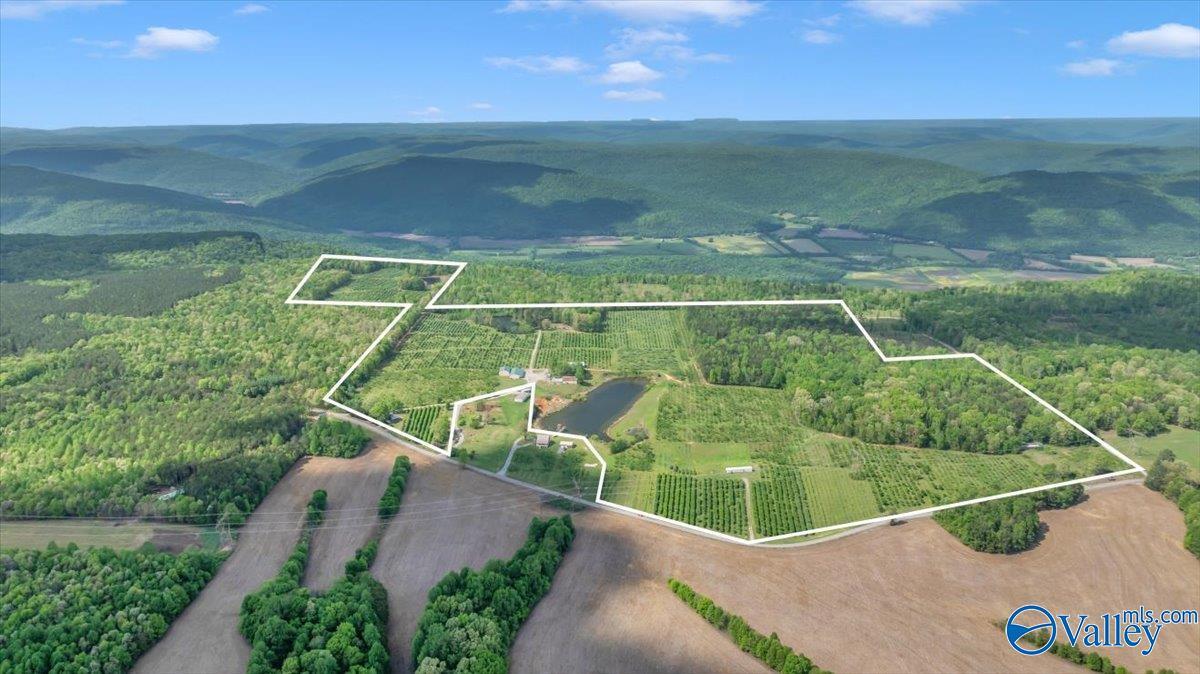 Property Photo: 6236 County Road 39 AL 35746