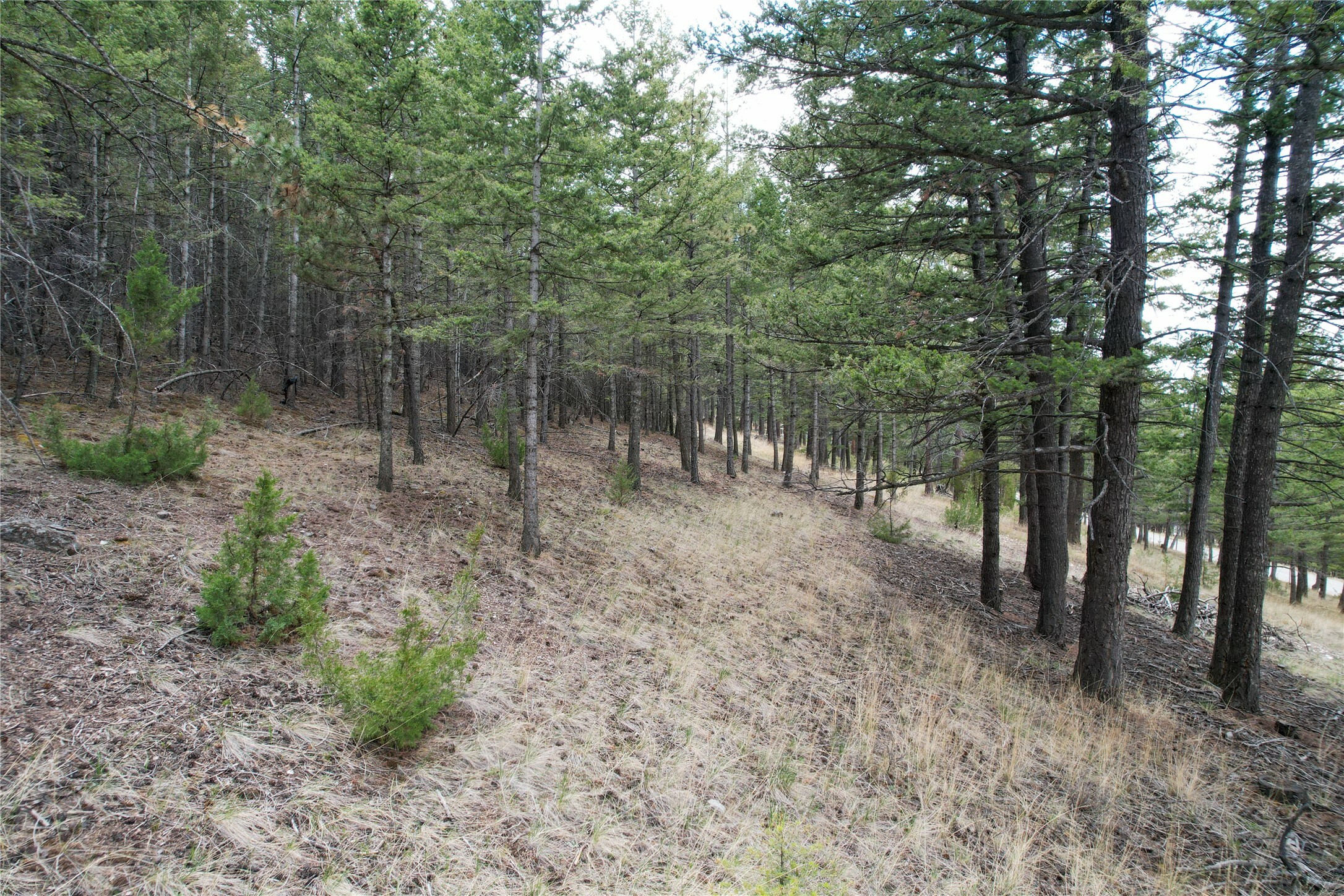 Property Photo: 291 S Hills Road MT 59634