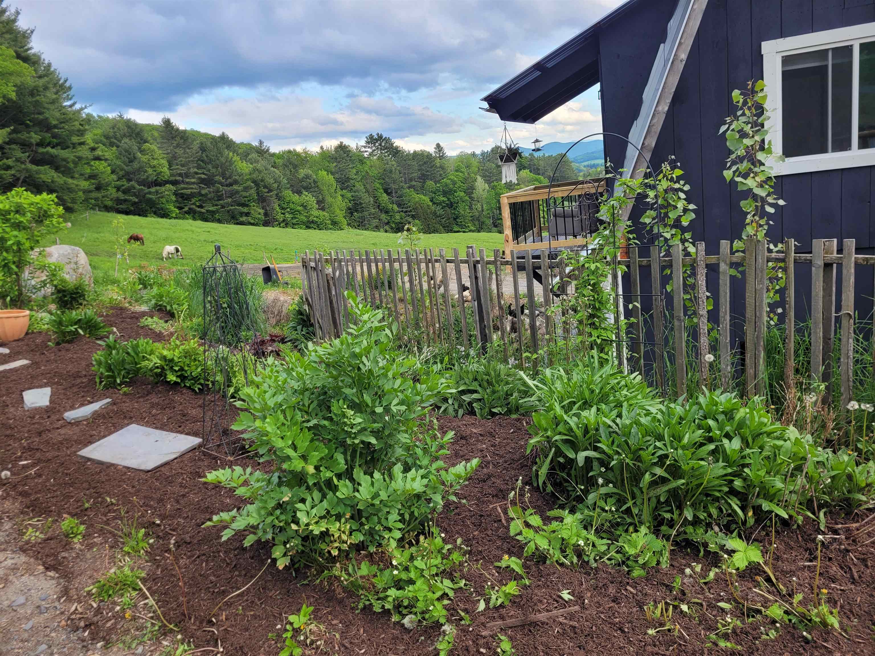 Property Photo: 298 Butterfly Hill VT 05828