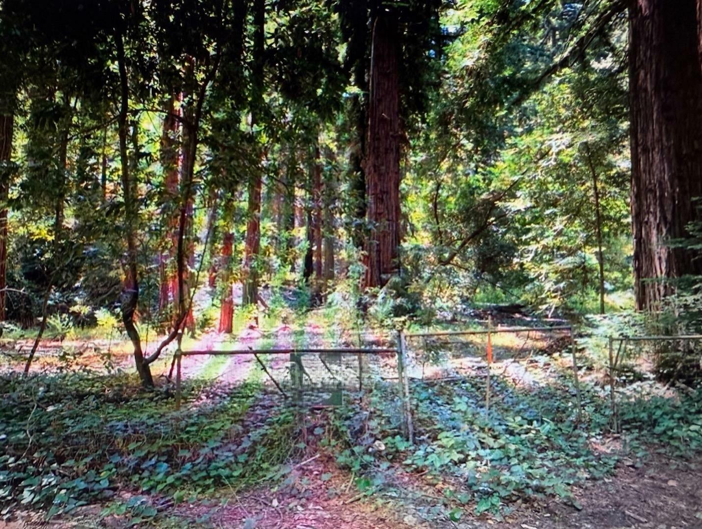 Property Photo: 0 Grove Street CA 95030