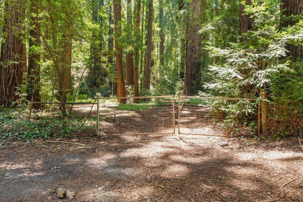 Property Photo: 0 Grove Street CA 95030