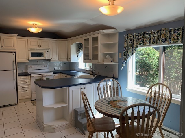 Property Photo: 133 Mallard Drive 133 CT 06001