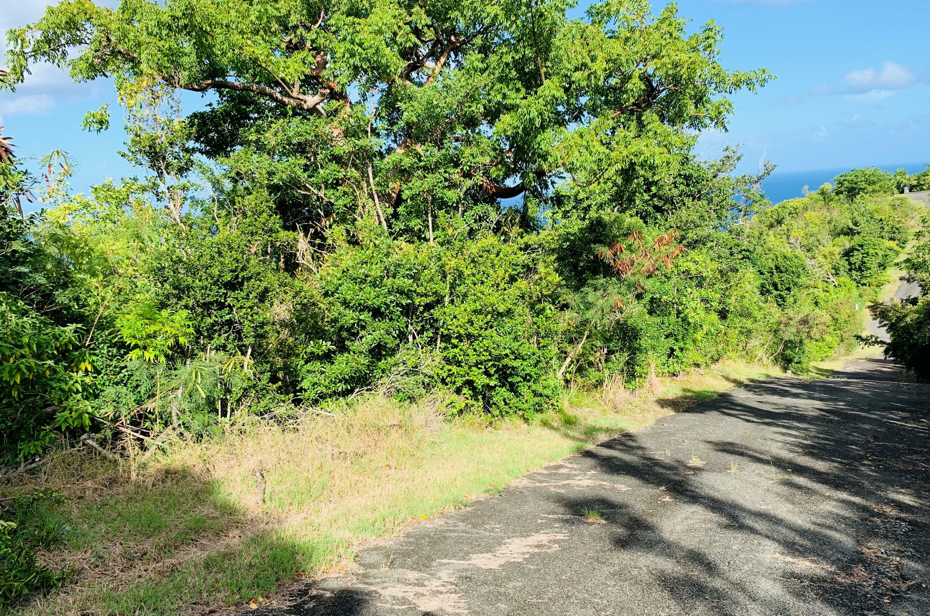 Property Photo: 48 Prosperity Nb VI 00840
