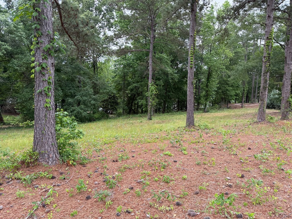 Property Photo: 0 Powell Trace AL 36310