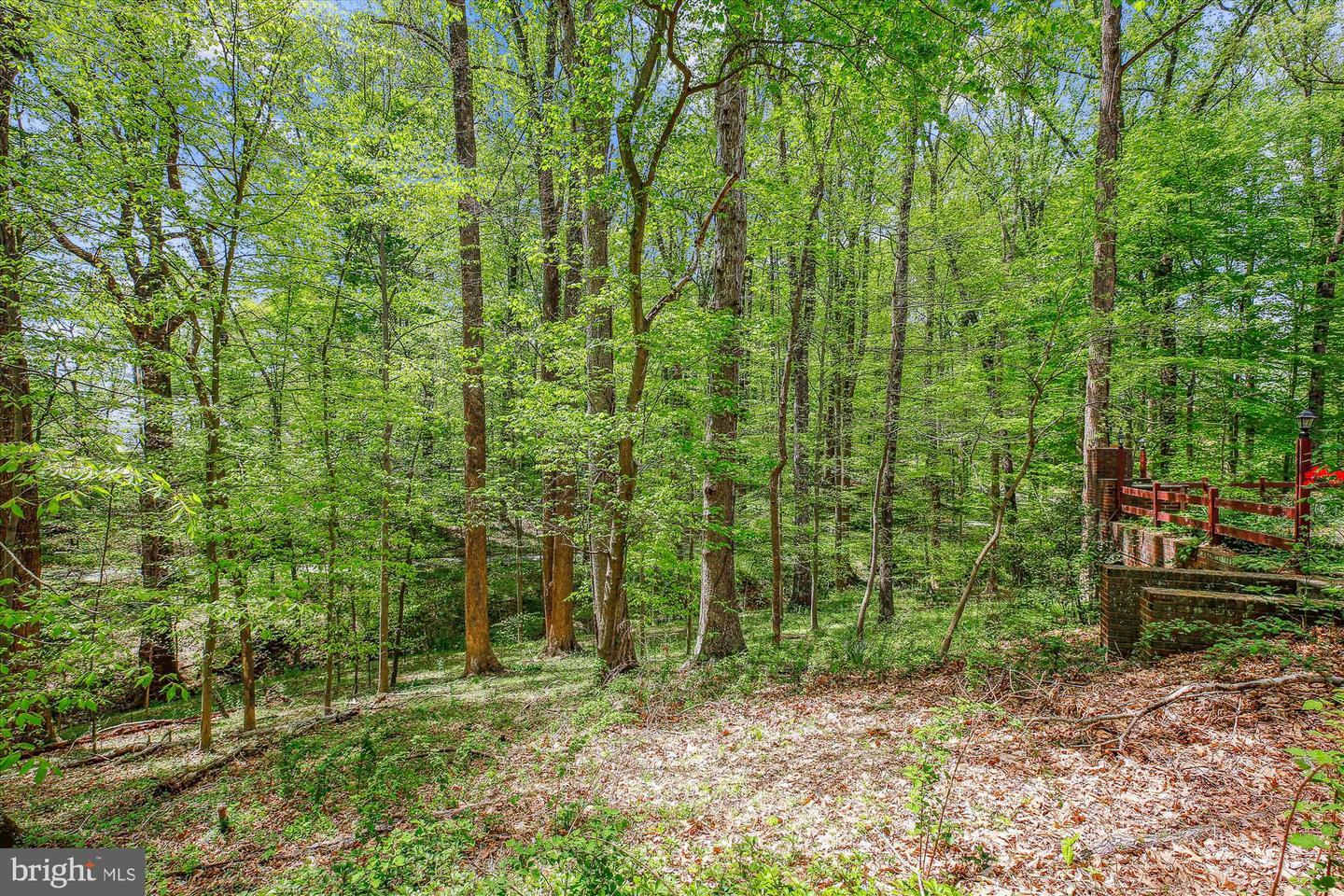 Property Photo: 11621 Springridge Road MD 20854