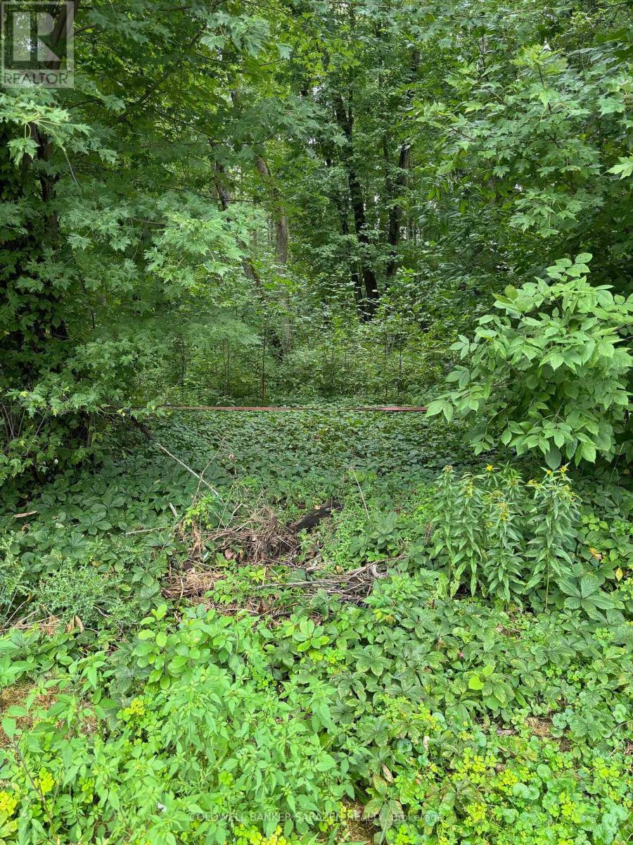 Property Photo: 101 Allbirch Road ON K0A 3M0
