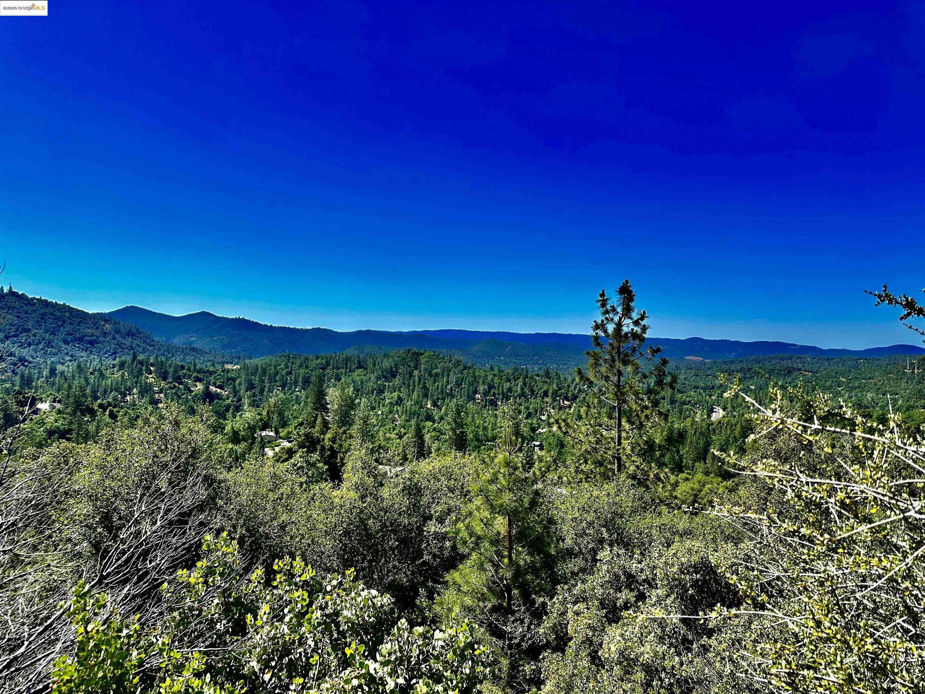 20605 Eden Ln  Tuolumne CA 95379 photo