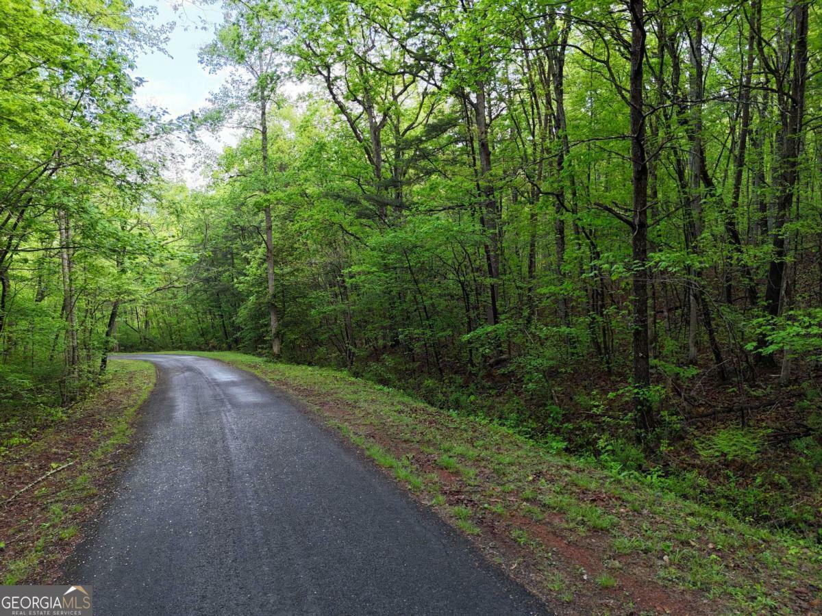 Property Photo: L93 - 95 Timberline GA 30582